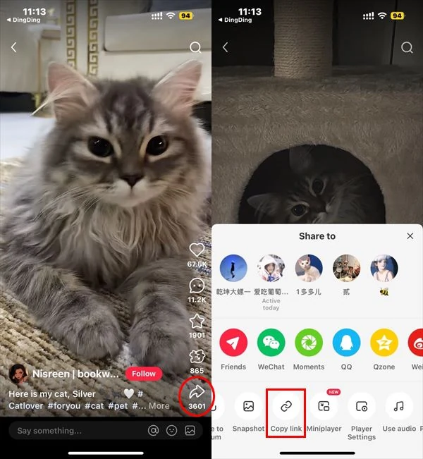 RedNote app share screen with the Copy Link action highlighted