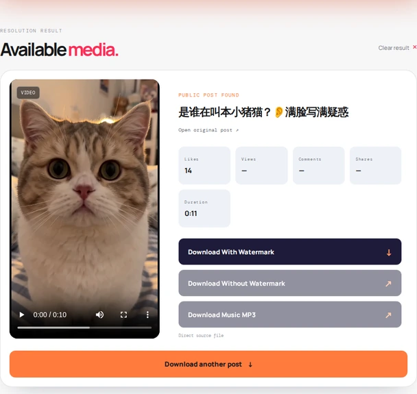 RedNote Downloader result box showing a real public video with available download actions